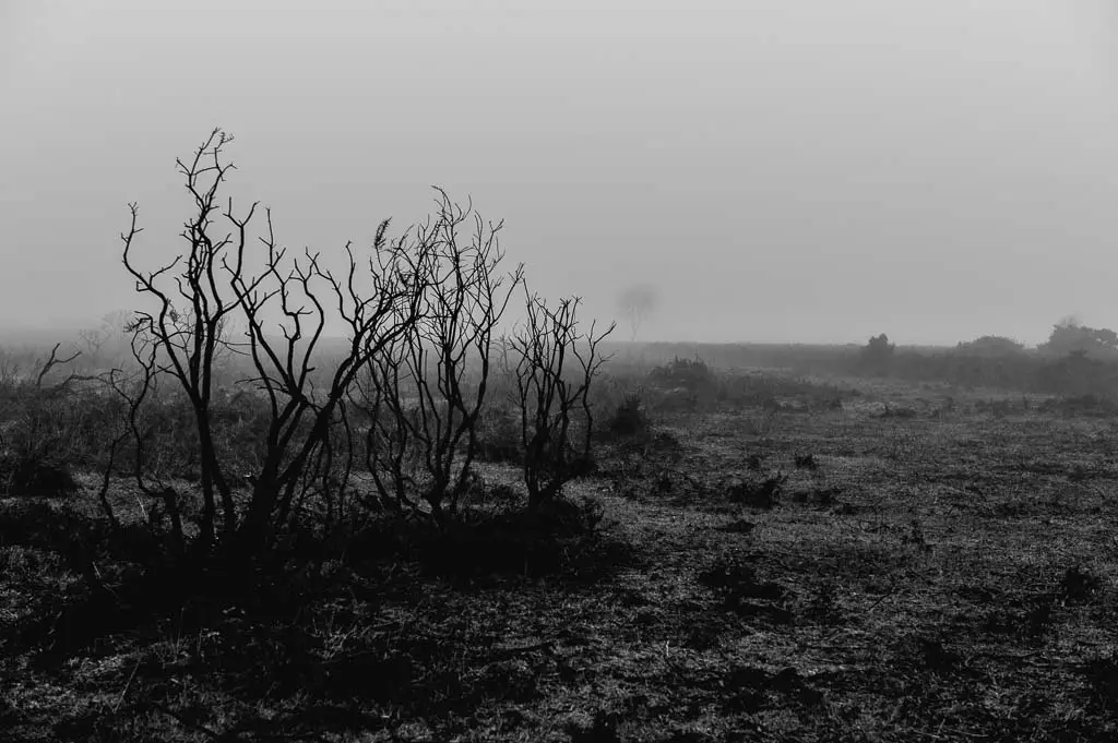 Wittering-Jan2017-16-of-89