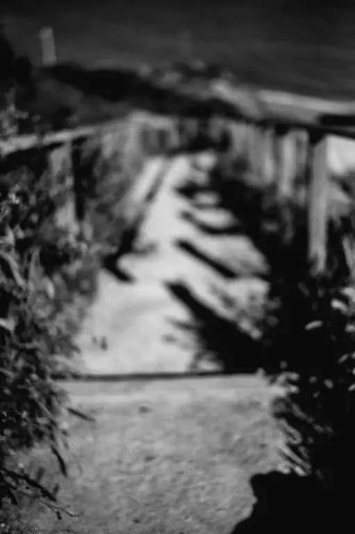 untitled-4-of-34