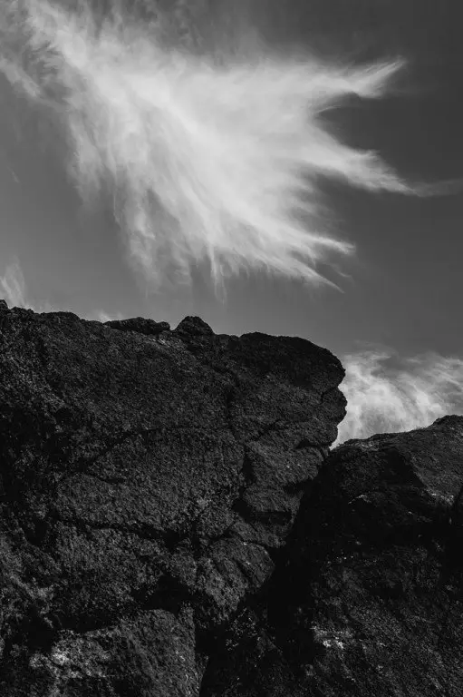 L-Tintagel-Mar2019-397-of-582