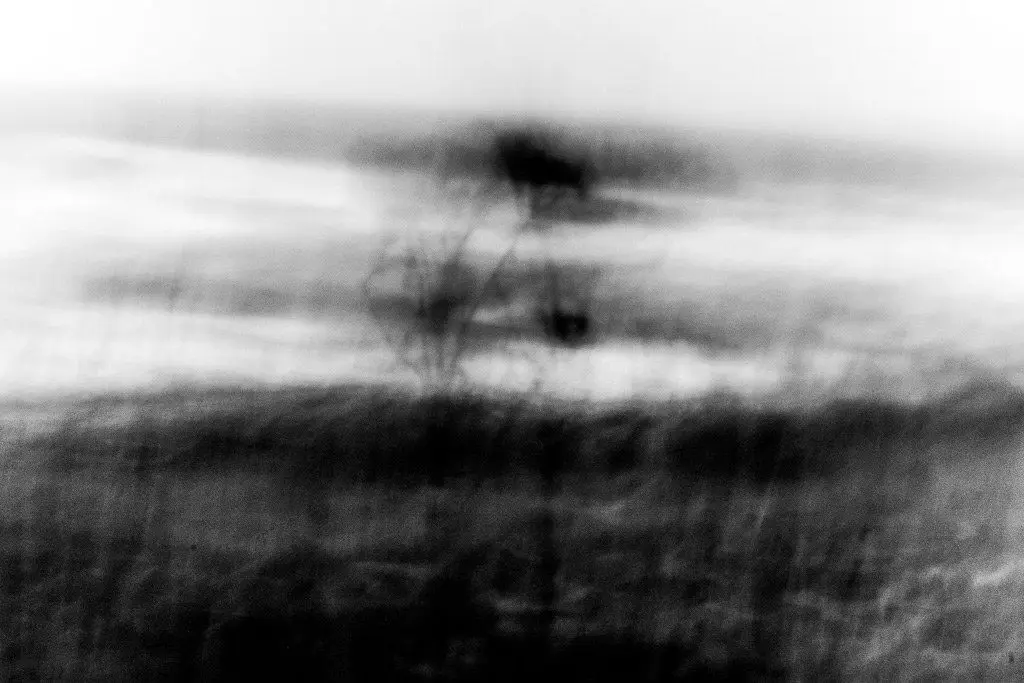 BeachArt-402-of-413