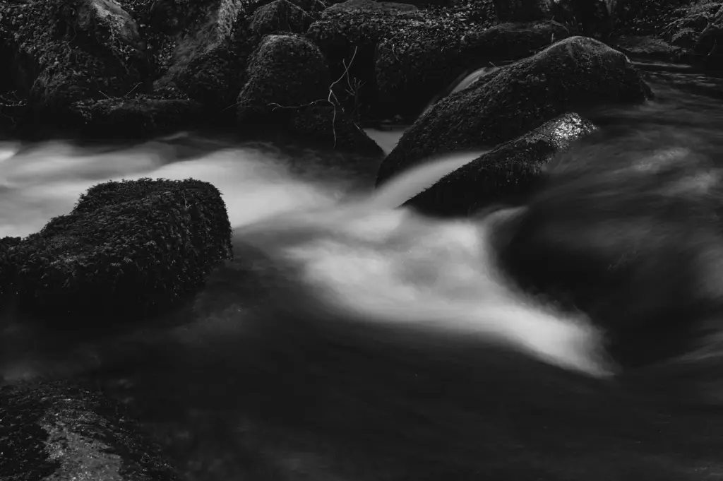 EmptyName-4