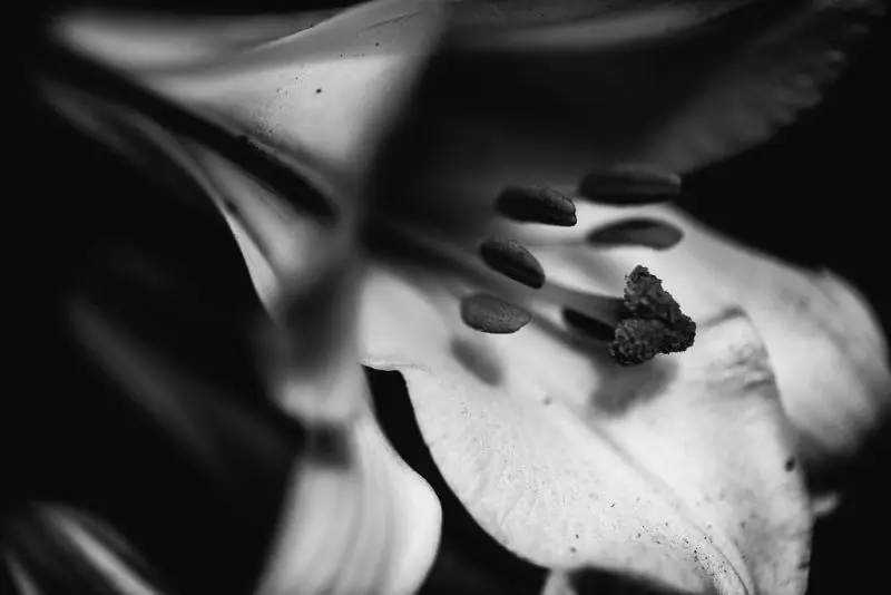 5d-Kent-July2018-236-of-292