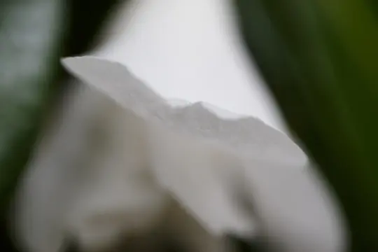 Macro-Flowers-18