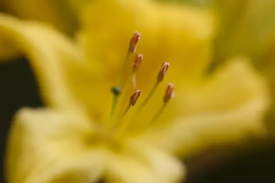 Macro-Flowers-26
