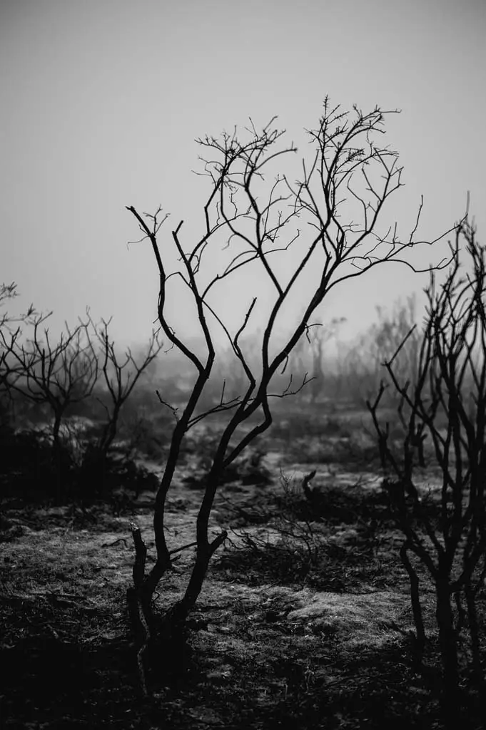 Wittering-Jan2017-13-of-89