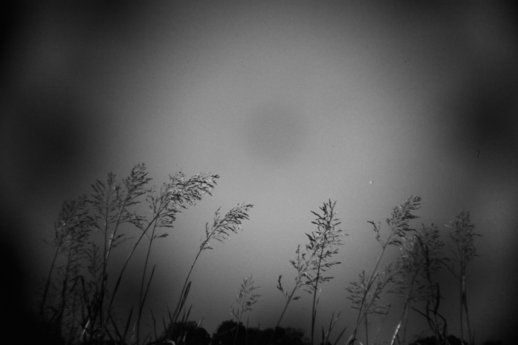 IMG_8877